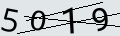 verifycode